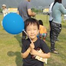 자라섬캠핑장2(A사이트) 이미지