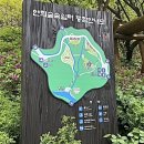 서대문구청 열린쉼터 | [서울 튤립 명소] 연희숲속쉼터 - 주말 데이트 추천, 꽃구경 옷 고르는 꿀팁