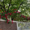 농성초등학교 이미지