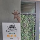 해피주 동물카페 원주점 | [원주카페] 내돈내산 원주 아이와가볼만한 동물교감 카페 ▶ 해피주 동물카페 원주점