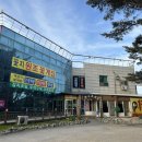 안면도 맛집 꽃지 원조꽃게집 꽃게탕 게장세트 2인 내돈내산 후기