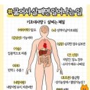 치과 제대로 안갔더니..'두경부암' 생존율 2배 차이 이미지