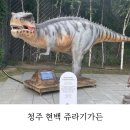 현대충청헤지스여성 | 청주 무료로 갈 만한 곳, 현대백화점 충청점 3층 쥬라기 가든 솔직 이용후기