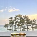 시도푸딩