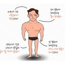 나의 체질 알아보는 법(태양,태음,소양,소음) 이미지