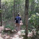 횡성 호수길 1구간 이미지