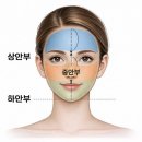 선 에스테딕 네이버블로그