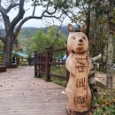 돌배나무집민박 이미지