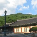 팔공산올레길 7코스 이미지