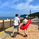 영진배선사 | 양양&amp;강릉 1박2일 여름휴가(쏠비치양양, 보사노바 속초, 속초중앙시장, 차현희순두부, 영진해변)