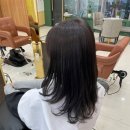 제이브라운 | 양주 옥정동 미용실 1인 헤어샵 제이플레이스헤어살롱 초코브라운 시술 후기