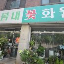 연일꽃화원