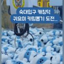 캐칭덕 오락실 이미지