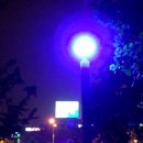 장미여인숙 이미지