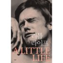 코카인 | 독서_한야 야나기하라 <리틀 라이프 1>_후기