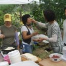 이라이스농장 이미지