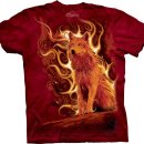 더마운틴 이미지