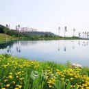 오투리조트 C.C 이미지