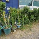 김종열농장 이미지