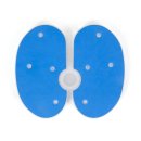 워너바디 이미지