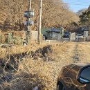 묘봉지 Daum카페