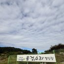 밍키애견마트 | 전북 정읍 옥천호 뷰 애견동반 캠핑장 [풍경소리캠핑장]