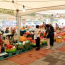 단양생태체육공원 1 이미지