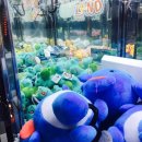 이너스pc 이미지