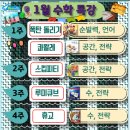 와이키즈서초본원 네이버블로그