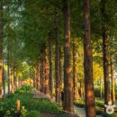 난지천4(놀이터) 이미지