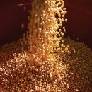 파주장단통일촌콩영농조합법인 이미지