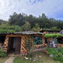 흙집 광수생각 이미지