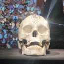 상어PC | [데미안 허스트] 4월 수요일 무료 전시 예약 국립현대미술관 YBA 작품