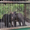 곰두마리농장 이미지