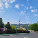 민둥산운동장 1 이미지