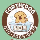 뽀더독(FORTHEDOG) 이미지