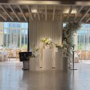 씨엘2 | #Wedding log 2-1. [대전 씨엘드포레] 홀상담 후기!!👰🏻💛🤵🏻 / (대전 밝은홀, 최종계약O, 견적공유...