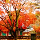 세상살이 이미지