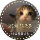 구포동물병원 이미지