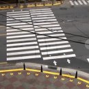 횡단보도옐로카펫 이미지