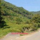 매남농장 이미지