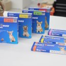 청주가장큰약국 이미지