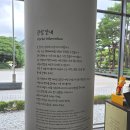 (주)폴리아트 | 경복궁역 무료전시 [트래블 인덱스, 러브 챕터, 연화] 후기 | 청와대 사랑채 전시