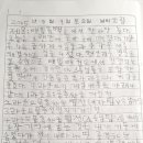 태빛태권도장 이미지