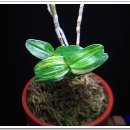 황호농장 이미지