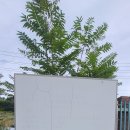 임계초 문래분교장 이미지