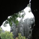 석림3로 이미지