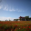 하늘과 바다사이 이미지