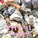 가보세 | 대천 보령 겨울 여행 필수코스 천북굴단지 가보세굴수산 식당 후기 굴세트 주차