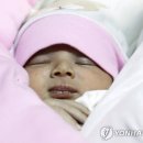 고모집 이미지